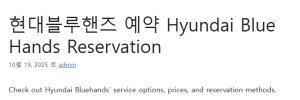 현대블루핸즈 예약 